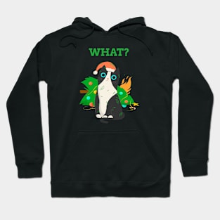 What? Black Cat Christmas Tree Hoodie